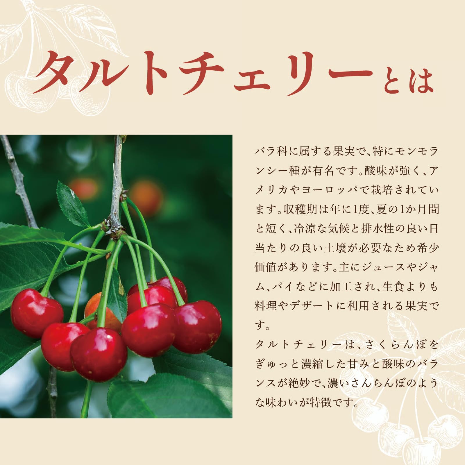 メラトンチェリー　360ml×2 25ml×2個 製品情報 | 株式会社ワンネス【社会貢献活動・福岡県福岡市早良